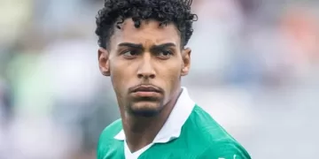 2025 - luigi palmeiras