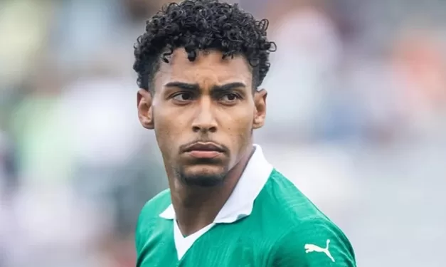 2025 - luigi palmeiras