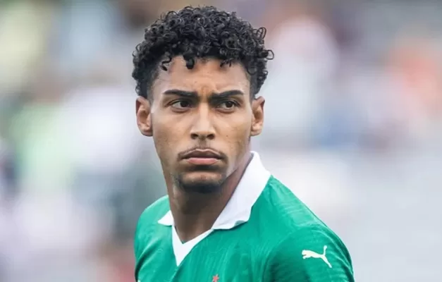 2025 - luigi palmeiras