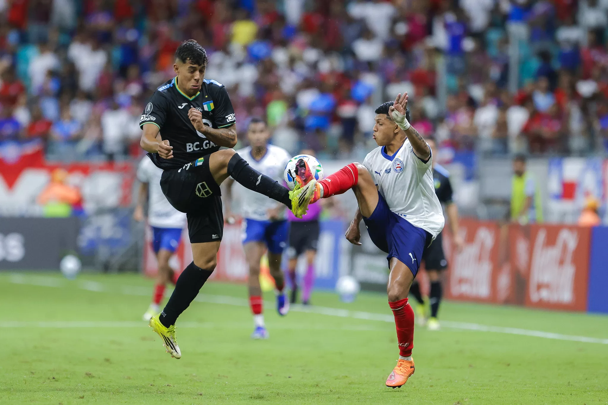 Bahia é eliminado na pre libertadores pelo Ohiggins -  Foto Rafael Rodrigues EC Bahia